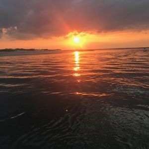 Meet your Posher, Steve